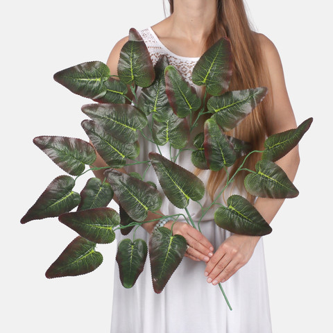 Hibiscus F203 (Product size)