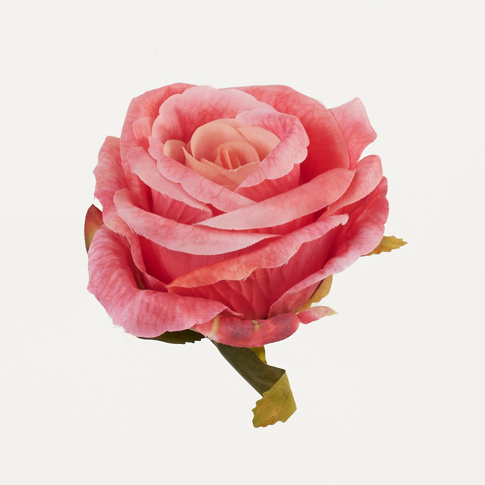 Róża – główka, printing rose head B56-015