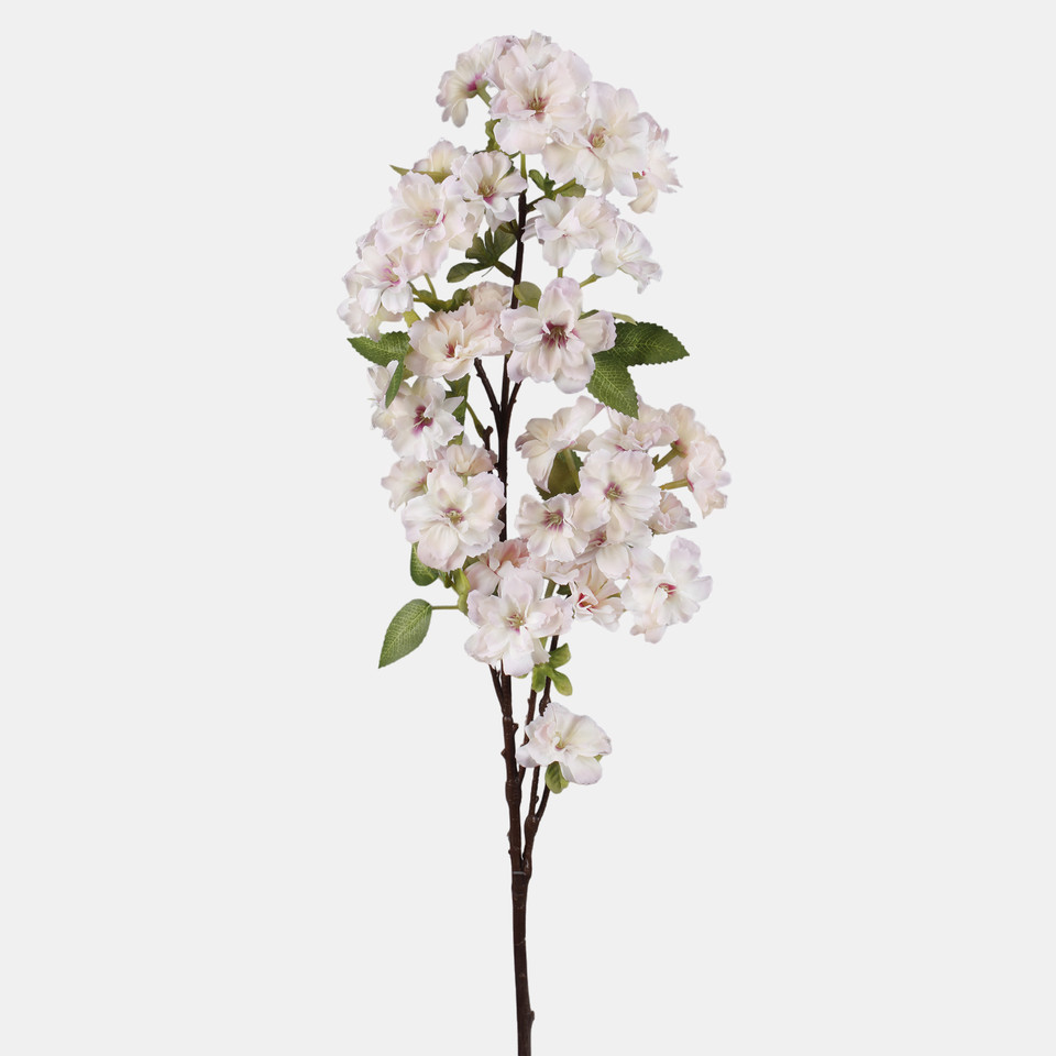 Azalia, Peach L899-01