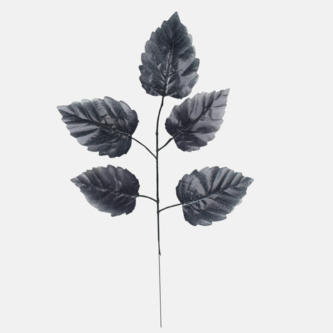 Elm, Black F244-02