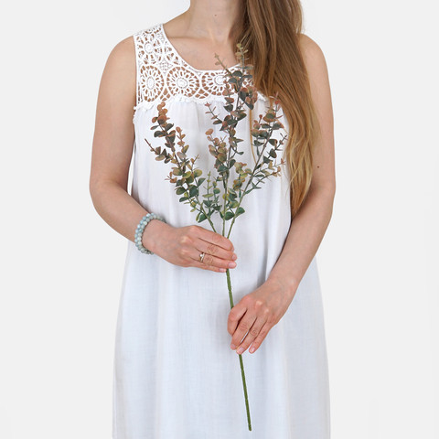 Eucalyptus A720 (Product size)