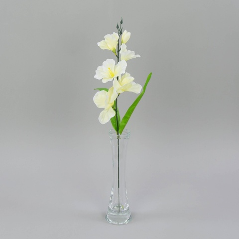 Mieczyk – gałązka, cream W181-01