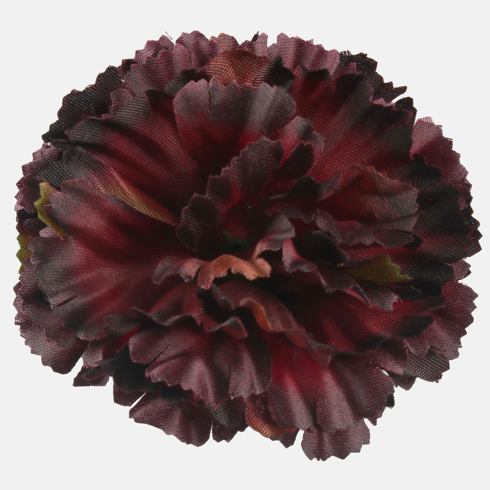 Goździk satynowy, T.T. Burgundy/Autumn Green Edge W616-44