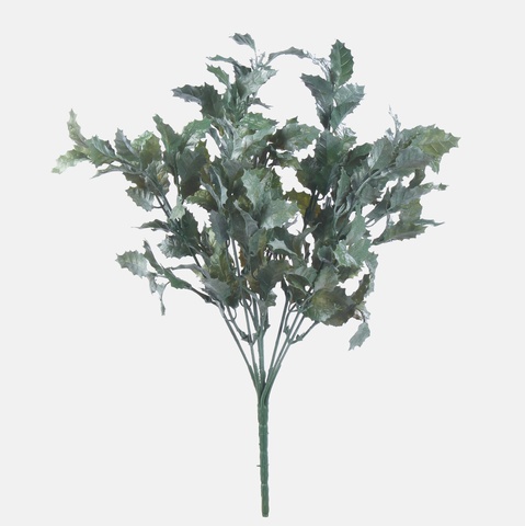 Holly x 7, Frosty Green A604-01