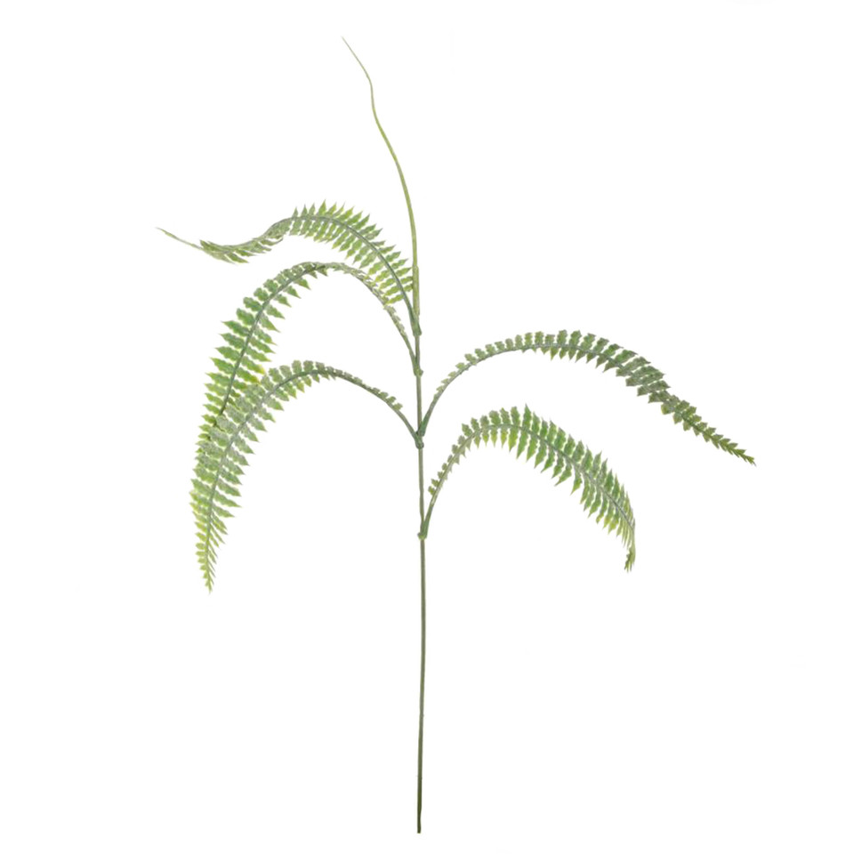 Paproć - gałązka 43 cm, green L150-00