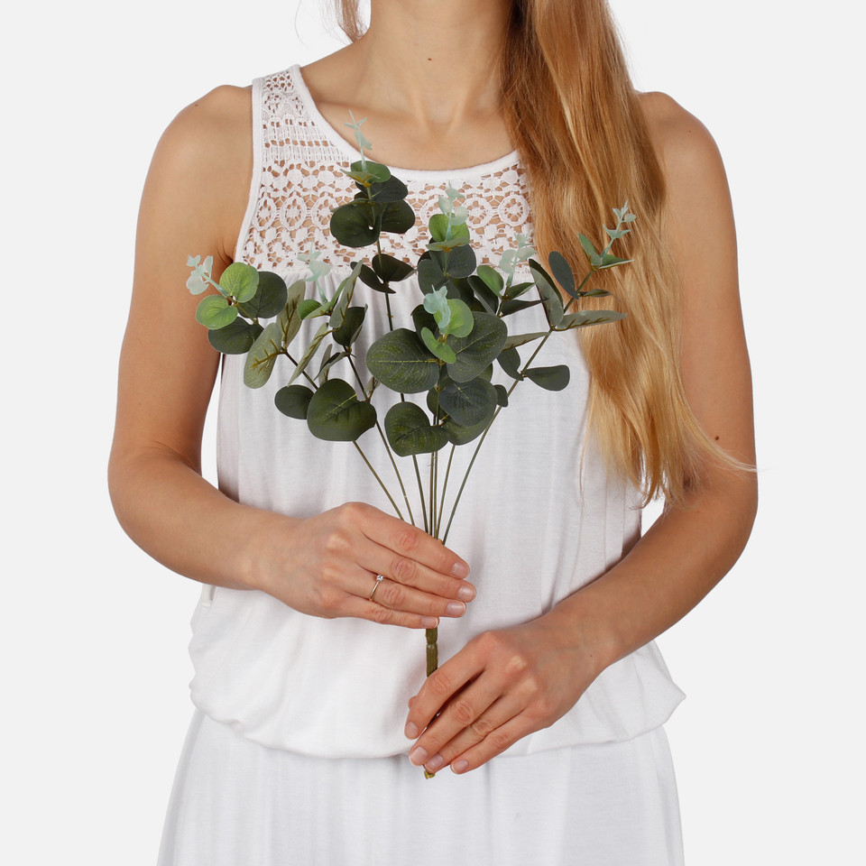 Eucalyptus A699