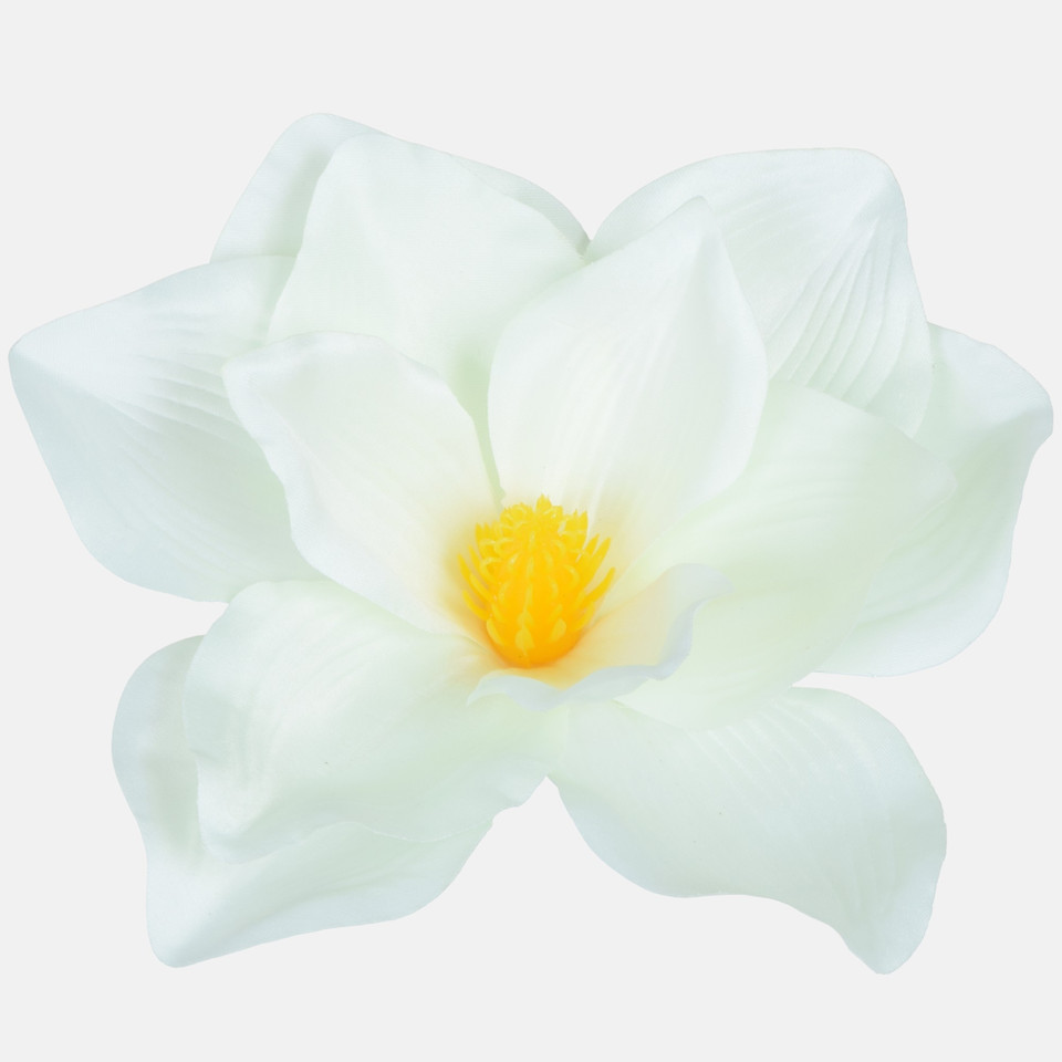Magnolia, Lt. Cream W707-02
