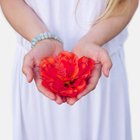 Satin hibiscus W093 (Product size)