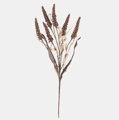 Setaria, Autumn Lt. Brown A769-03