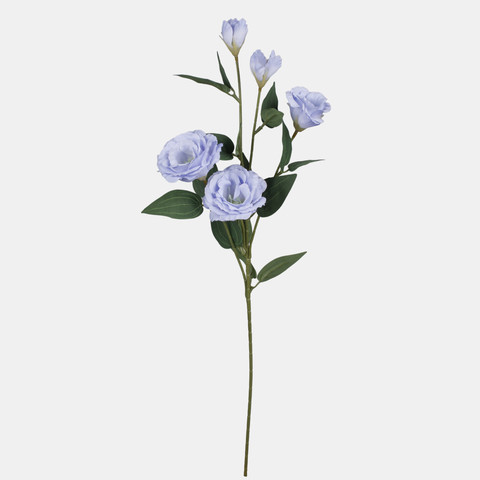 Eustoma, Blue L872-07