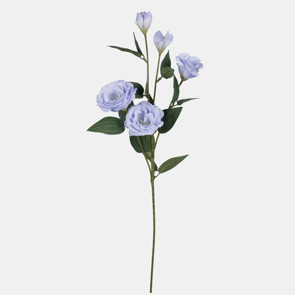 Eustoma, Blue L872-07