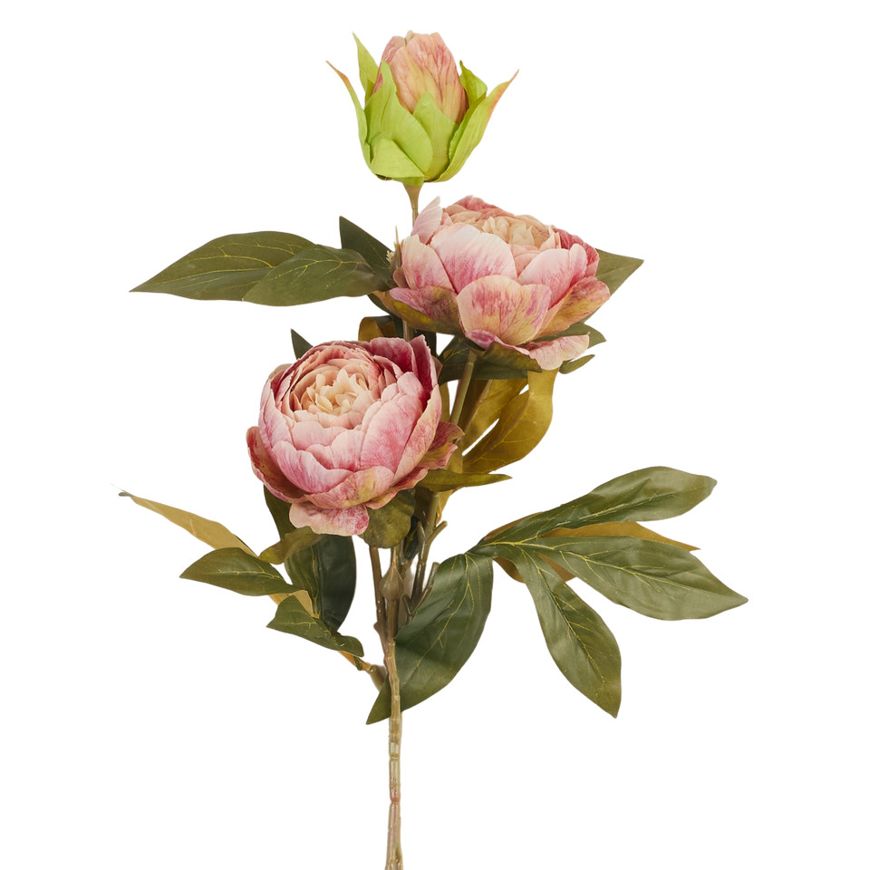 Peonia – gałązka x3, 45 B38-45
