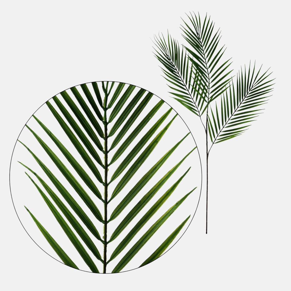 Palm leaf x 3, Green R657-00