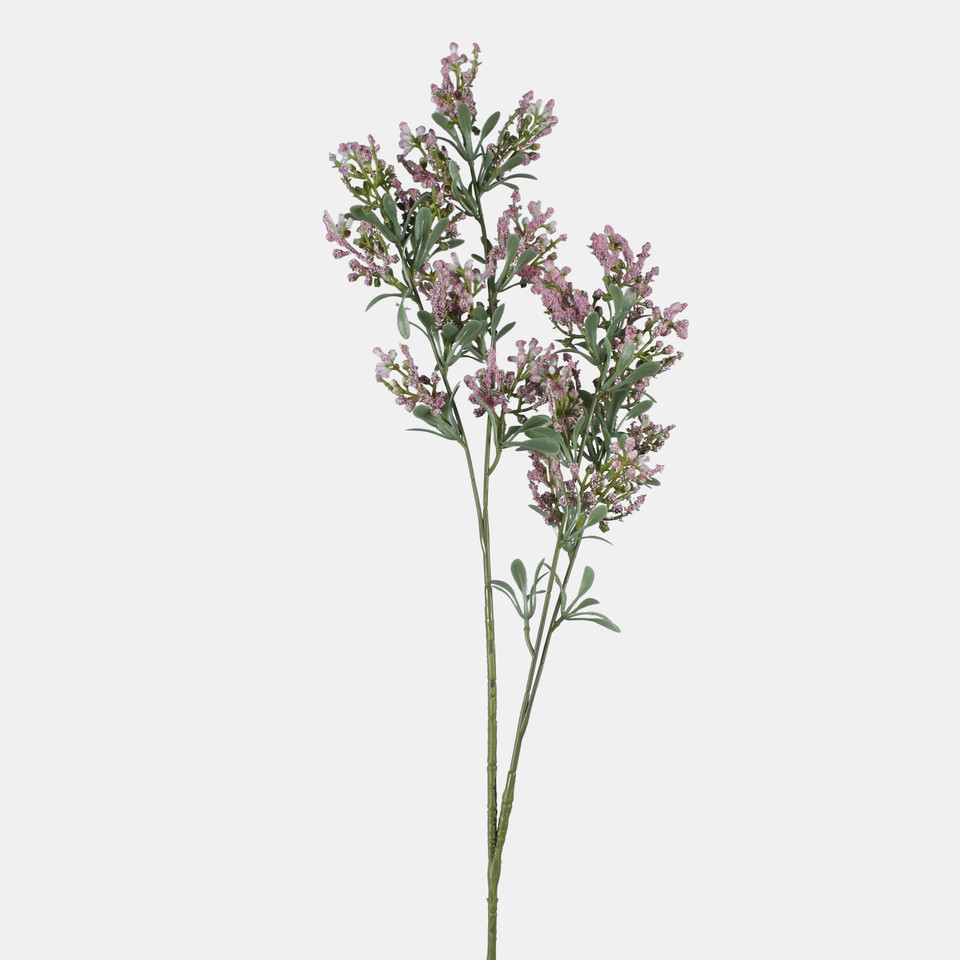 Lucerne, Pink L855-04