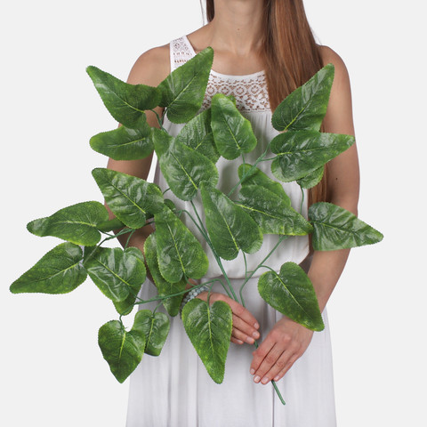 Hibiscus F174 (Product size)