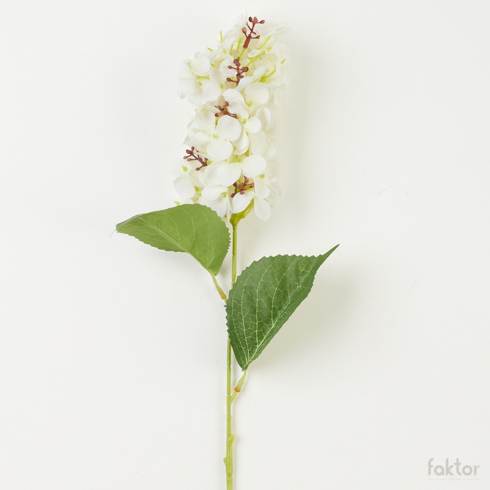 Hortensja – gałązka, white/lemon AL11-04