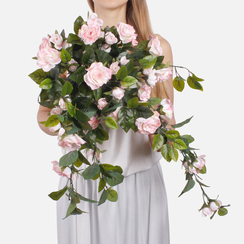 Rose K016