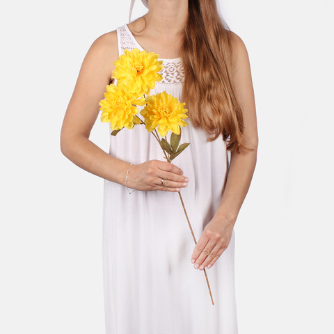 Dahlia G481 (Product size)
