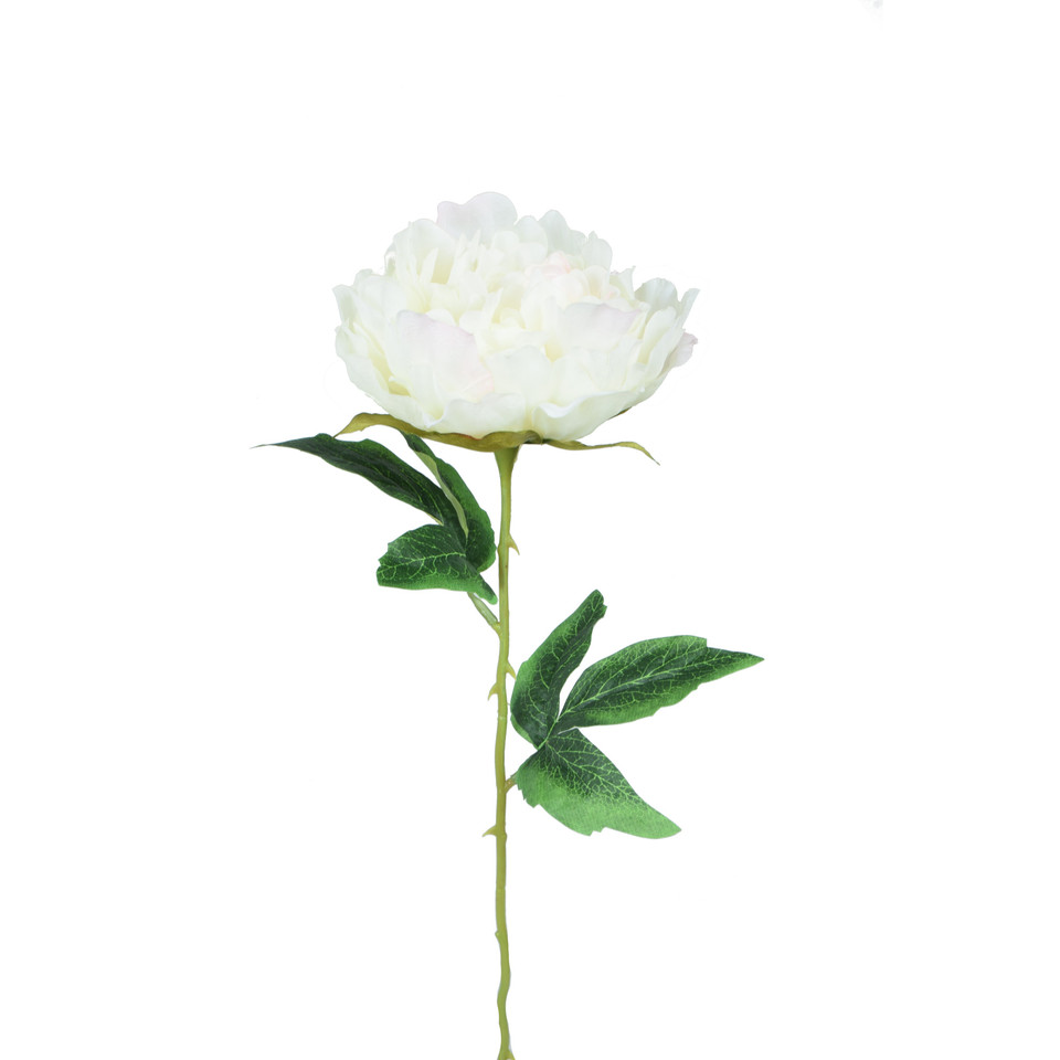 Peonia - gałązka 57 cm, m K417-m
