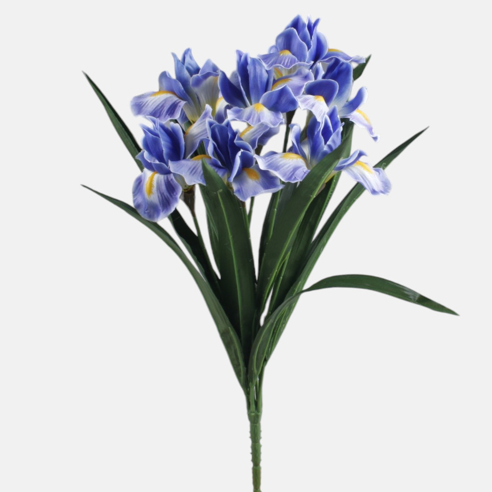 Irys x 7, Blue QA413-04