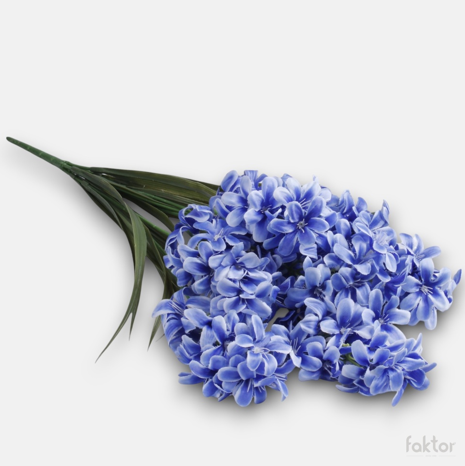 Hyacinth x 7, Blue Q077-04