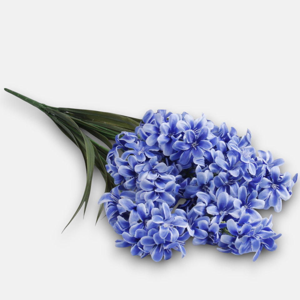 Hiacynt x 7, Blue Q077-04