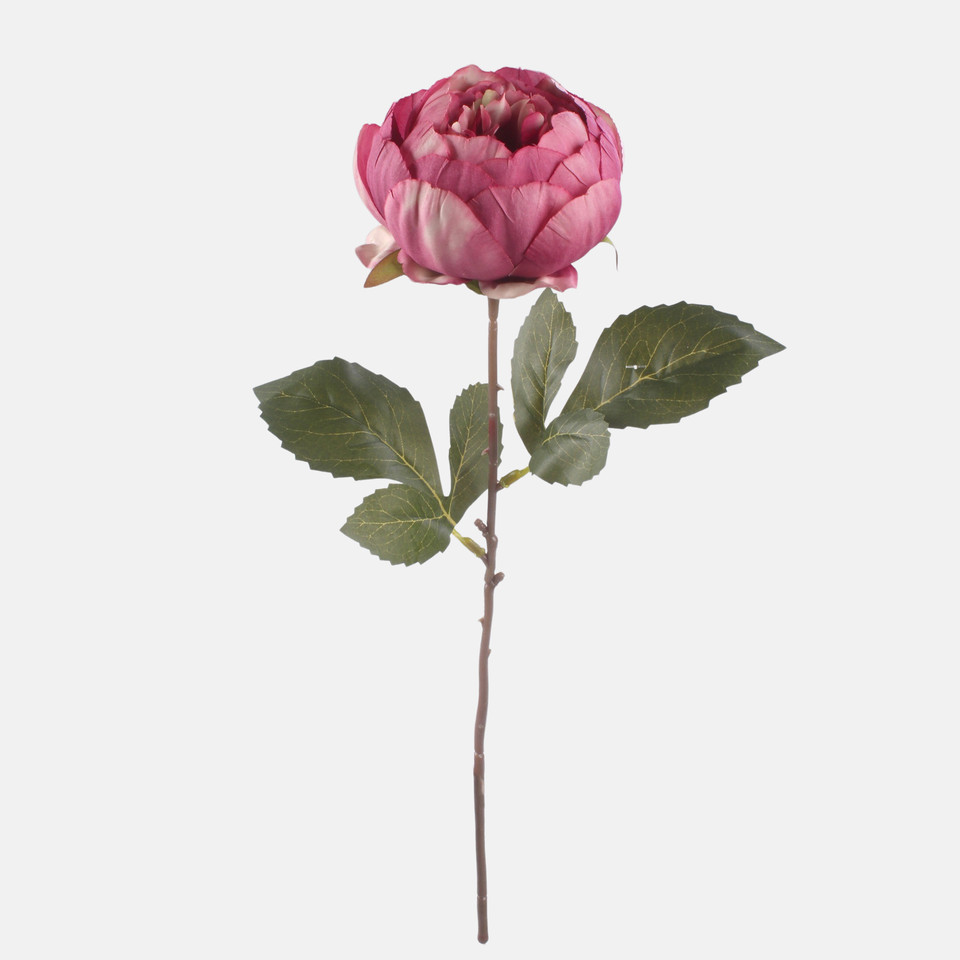Peony, Autumn Mauve G472K-04