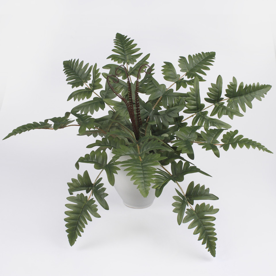 Fern bush, Mix 1 Z180-01