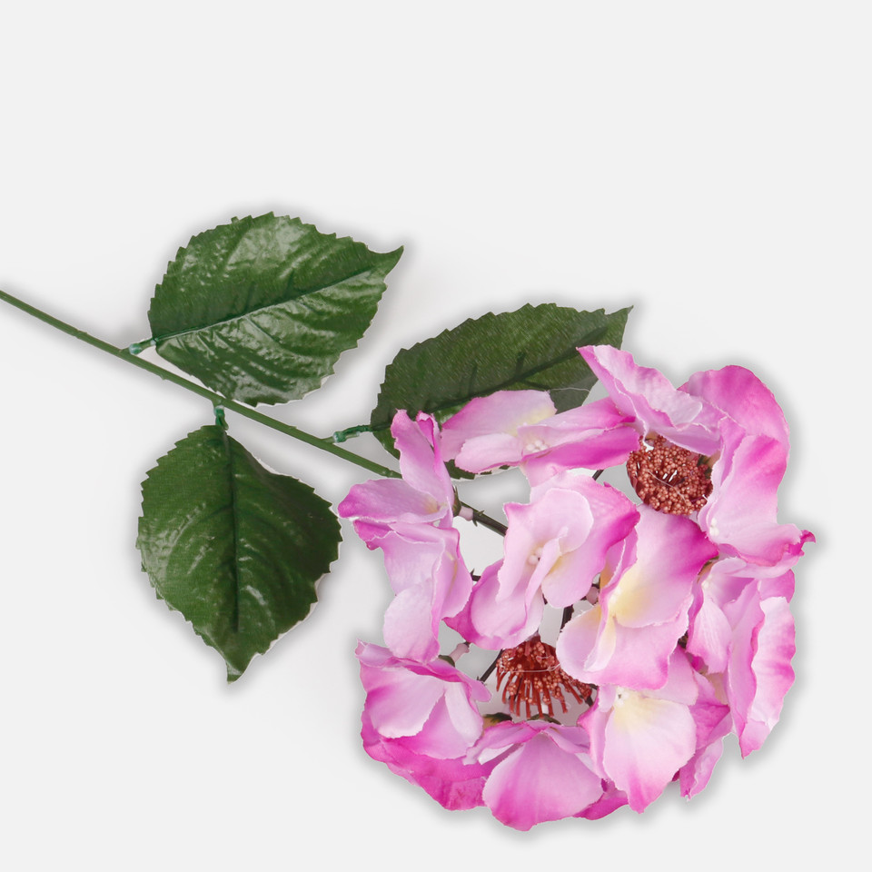 Hydrangea, Mix 2 L064-02