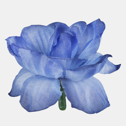 Rose, Blue W303-04