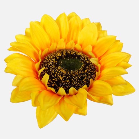 Słonecznik, Yellow W690-01