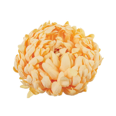 Chrysanthemum, #85 D01-85