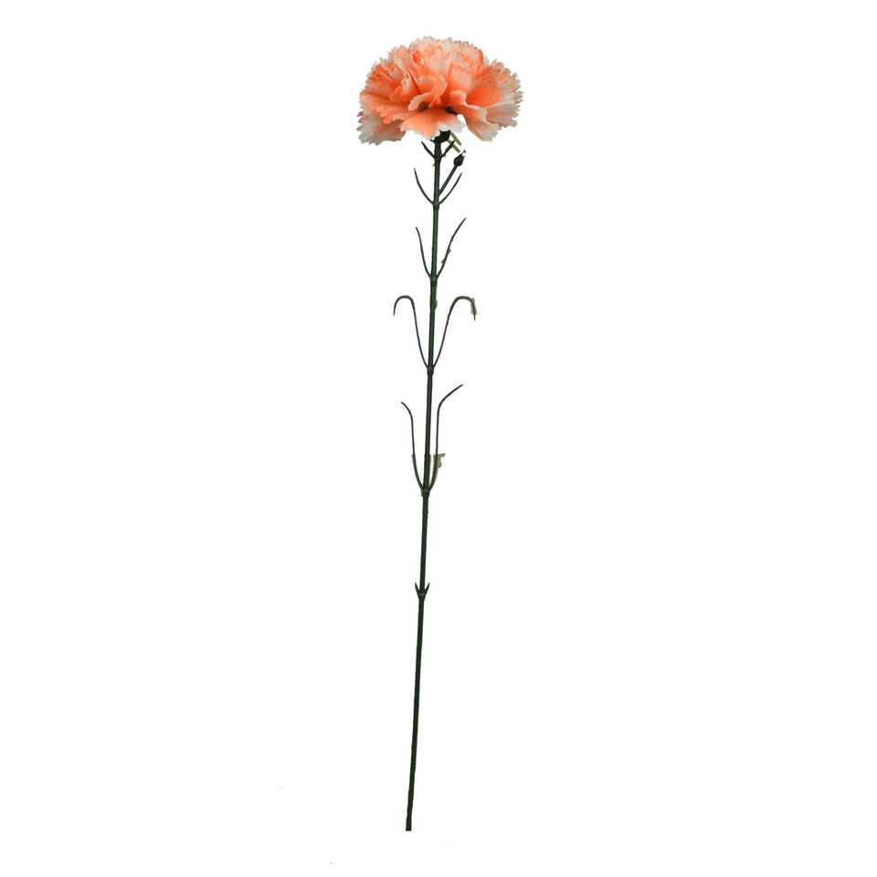 Goździk - gałązka 55 cm, m K396-m