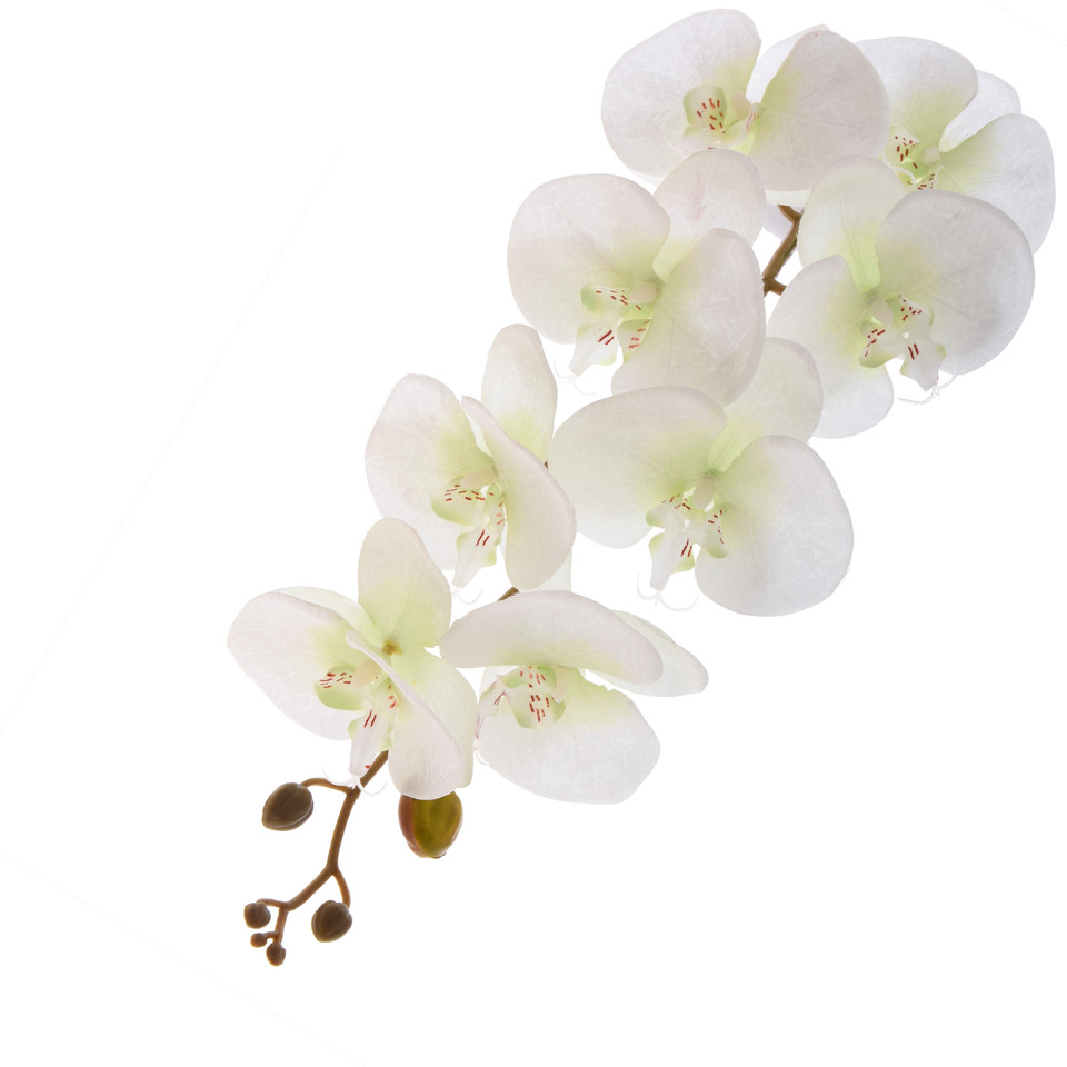 Storczyk - gałązka satynowa 92 cm, cream/green K218-03