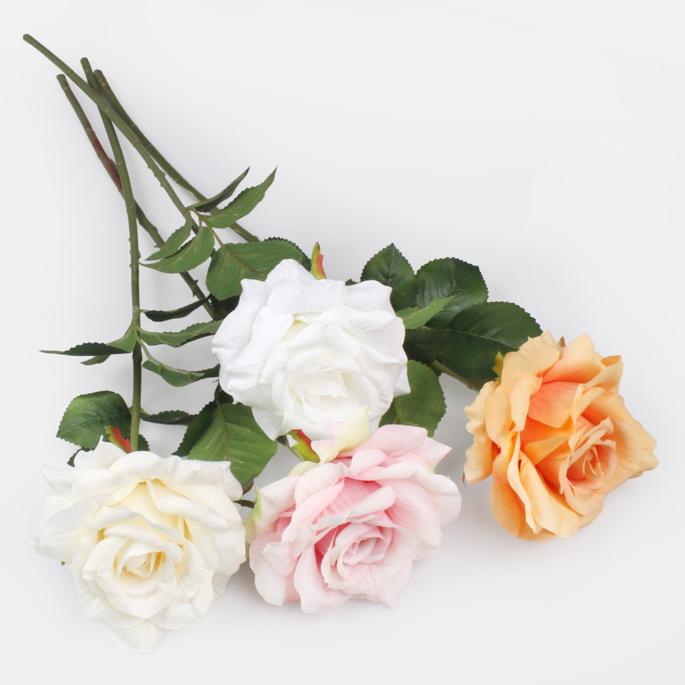 Rose, Orange G491-04
