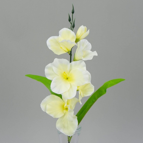 Mieczyk – gałązka, cream W181-01