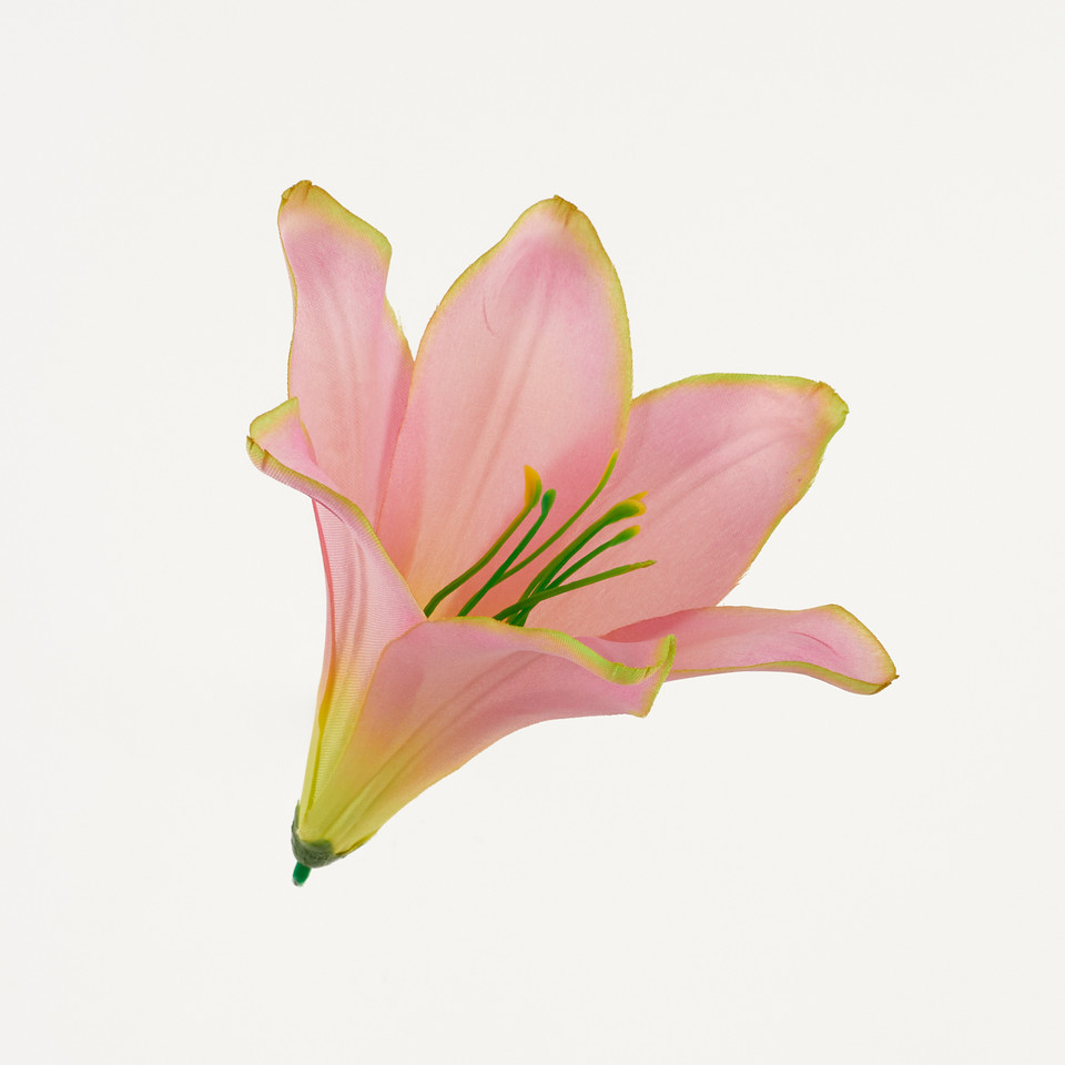Lilia – główka satyna, pink green B276-037