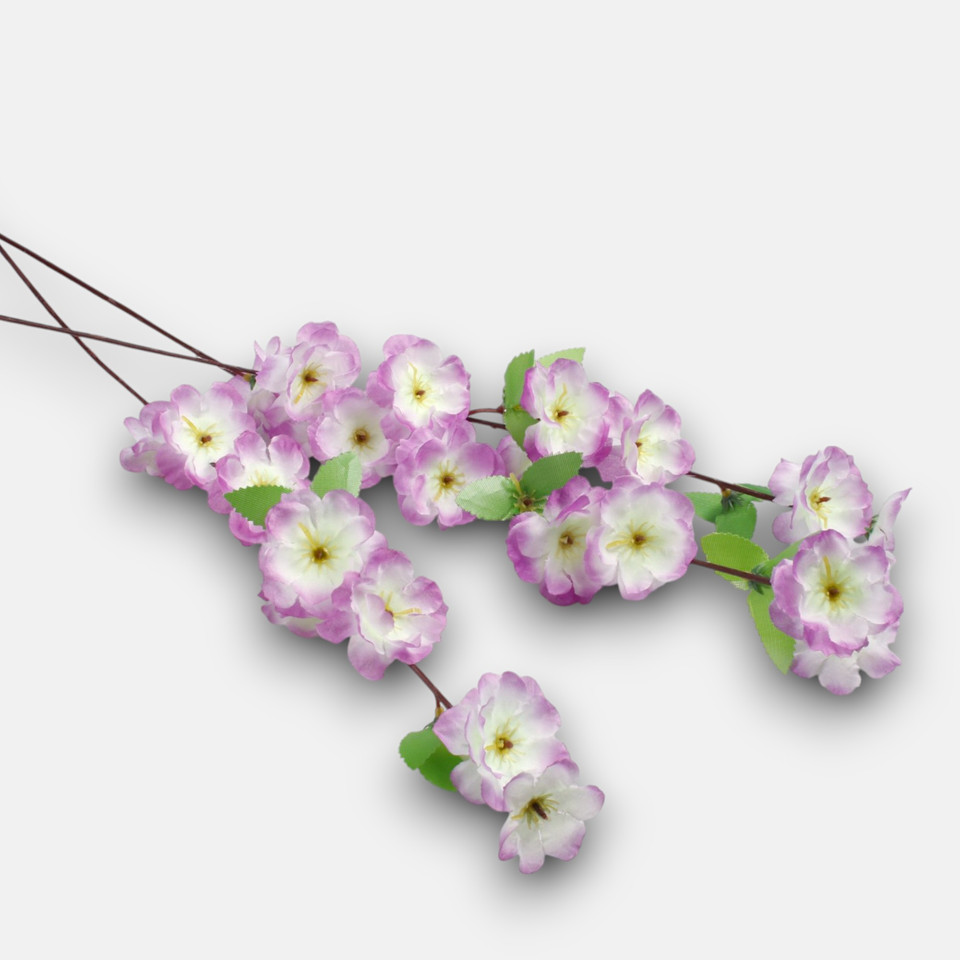 Jabłoń, Purple G207-50