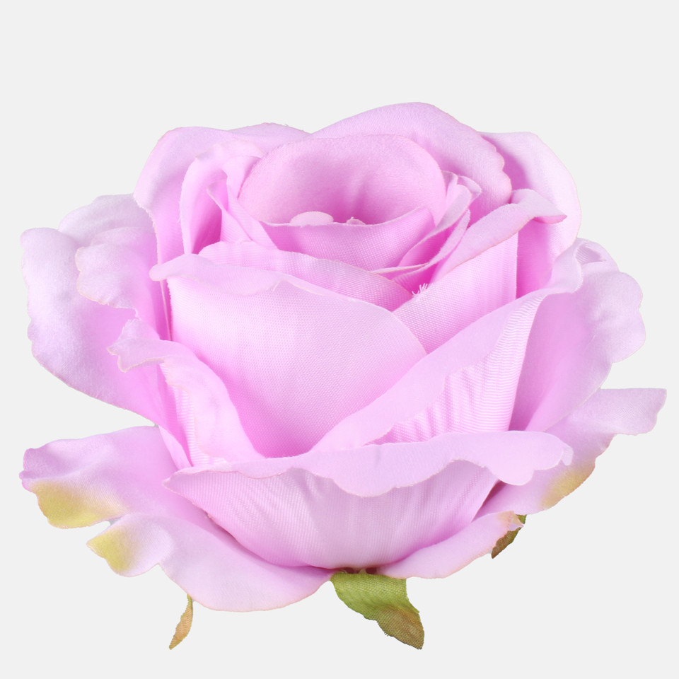 Rose, Lilac W697-12