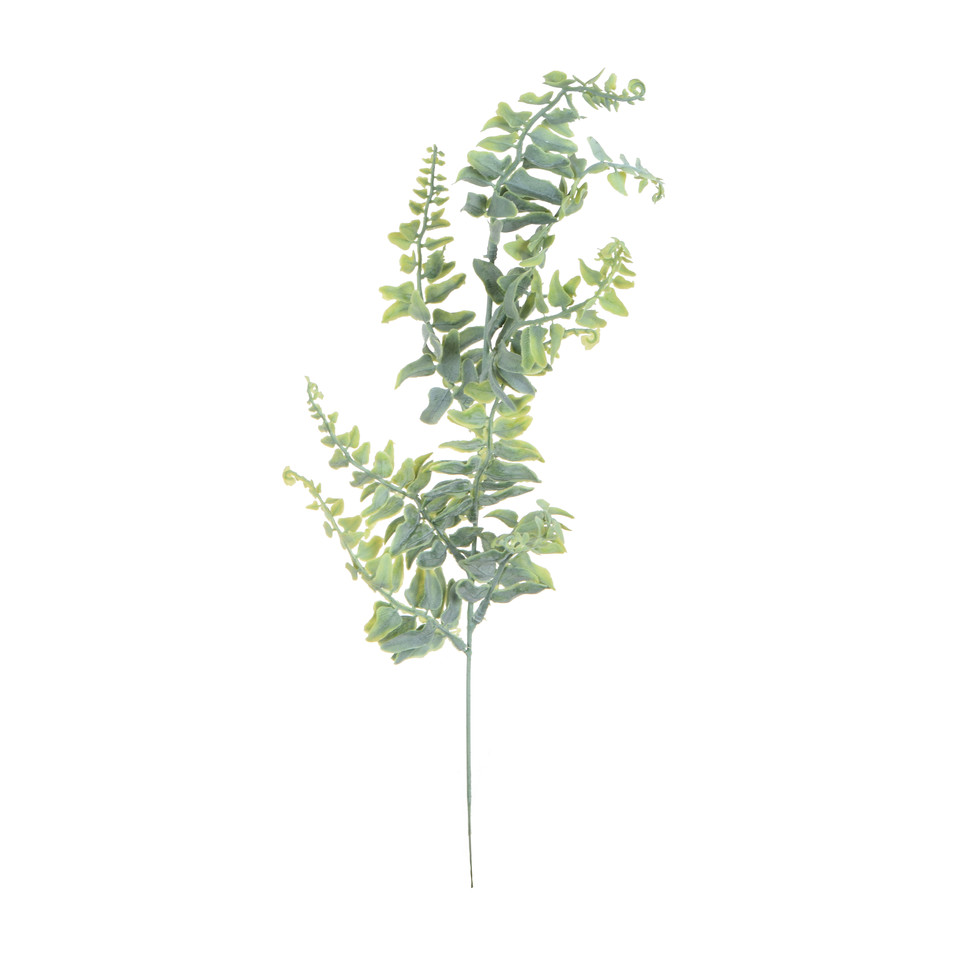 Paproć - gałązka 61 cm, m R235-m