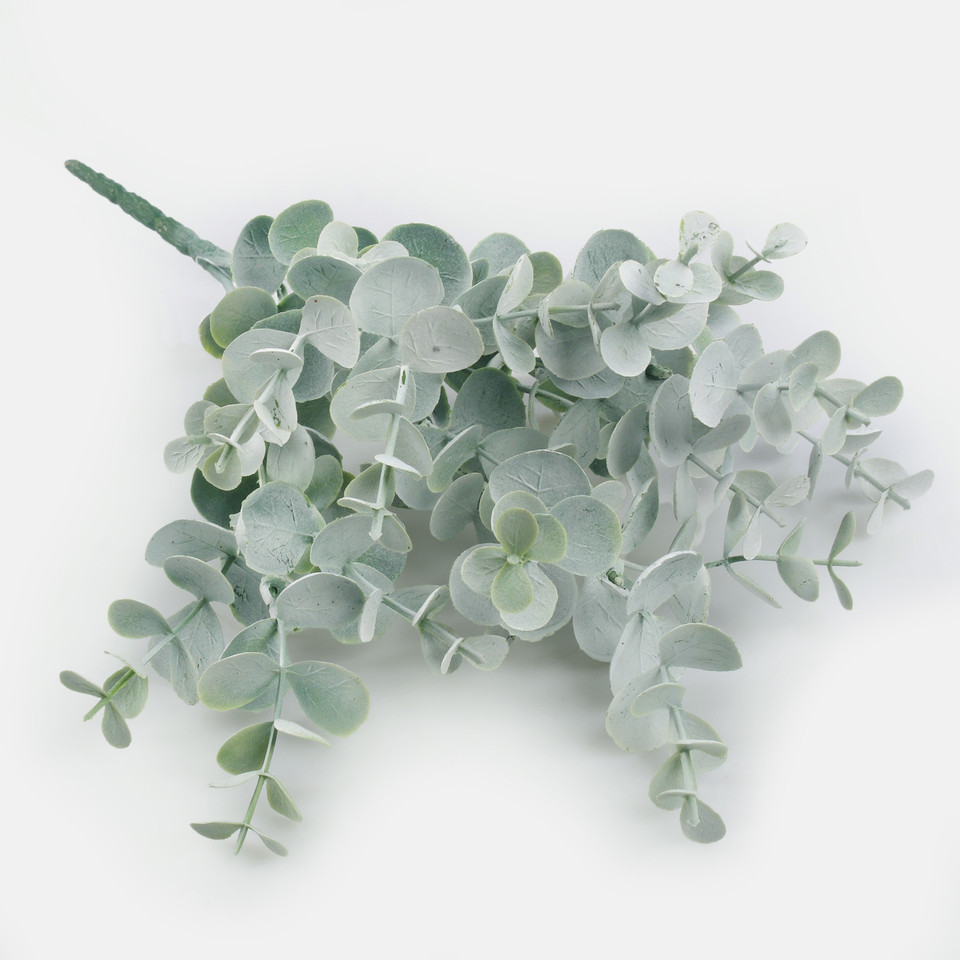 Eucalyptus, Green/White Z198-01