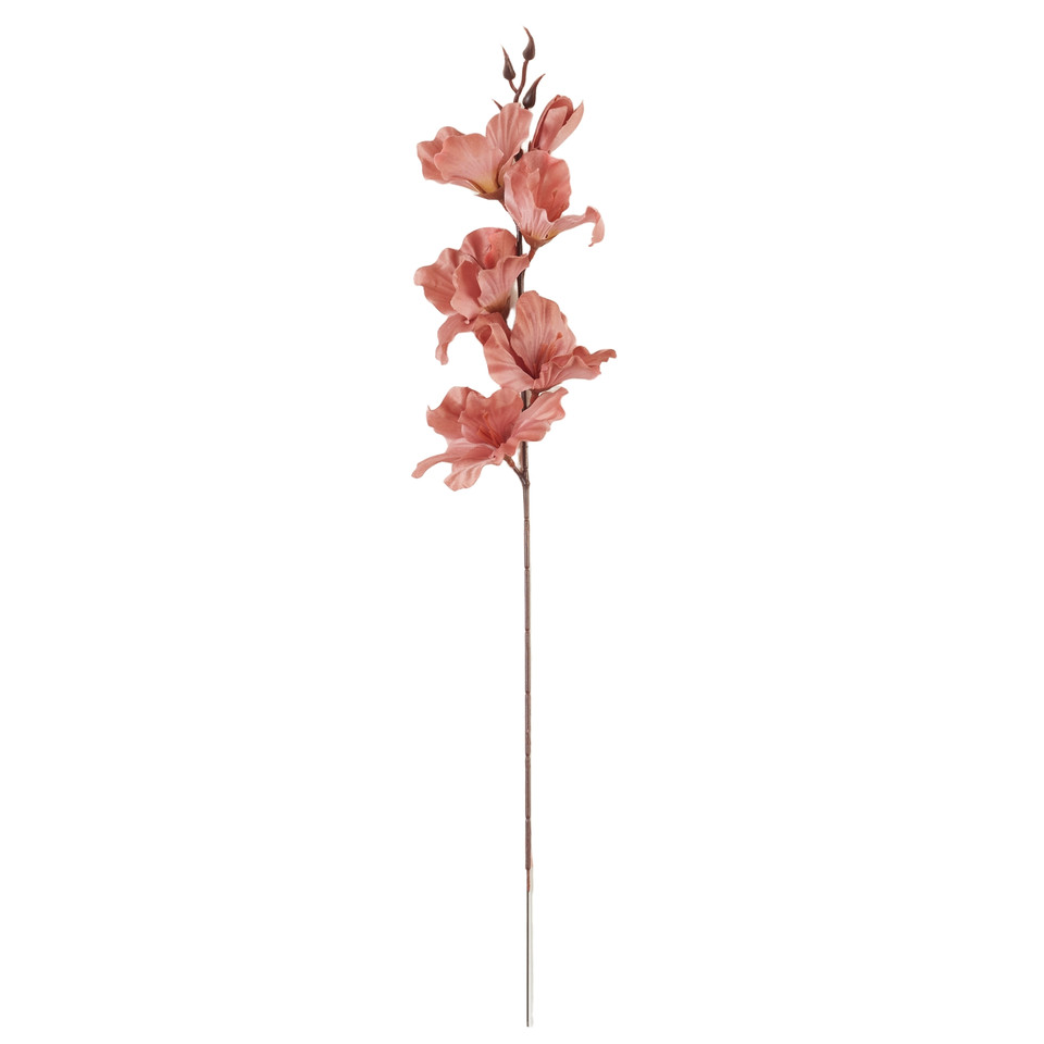 Mieczyk - gałązka 56 cm, 22 brown AL181-21