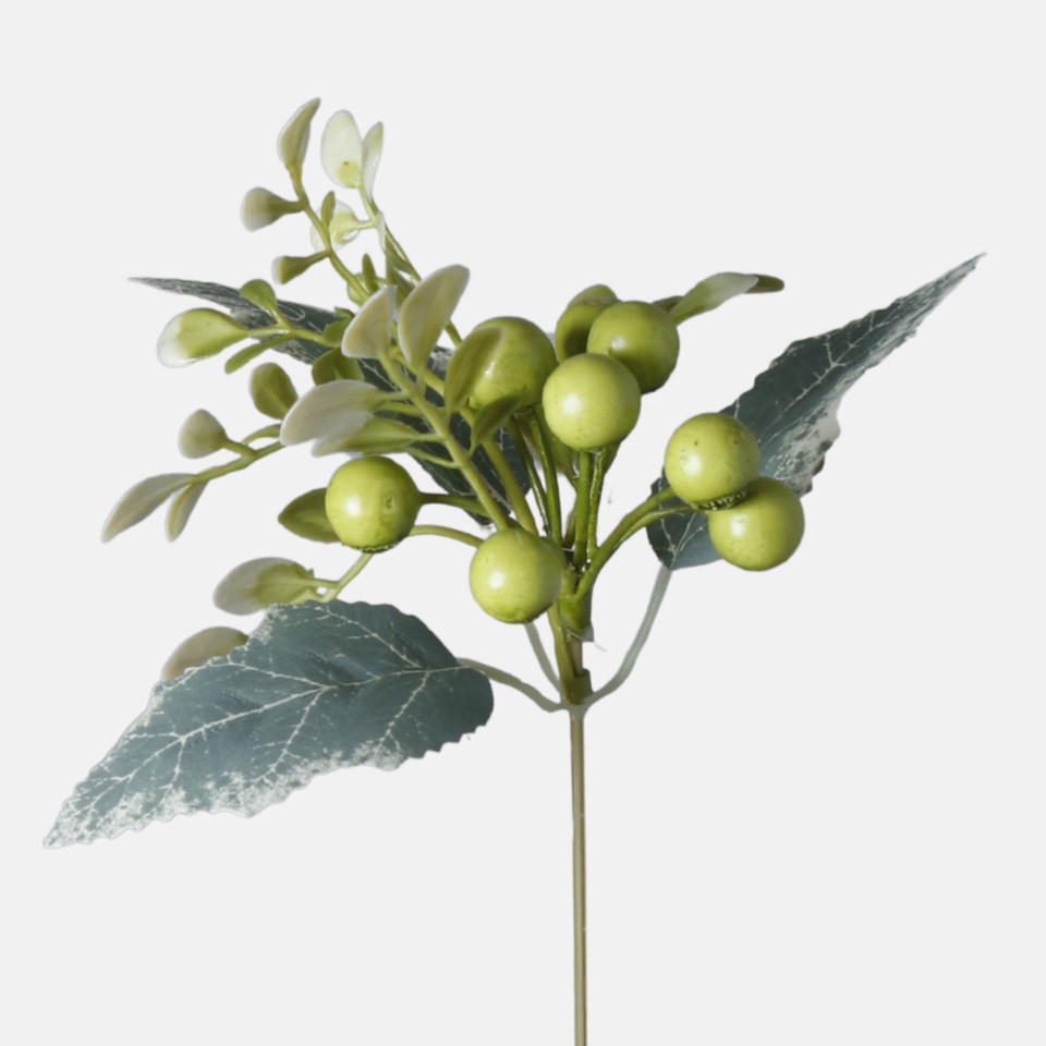 Borówka, Green BDK076-04