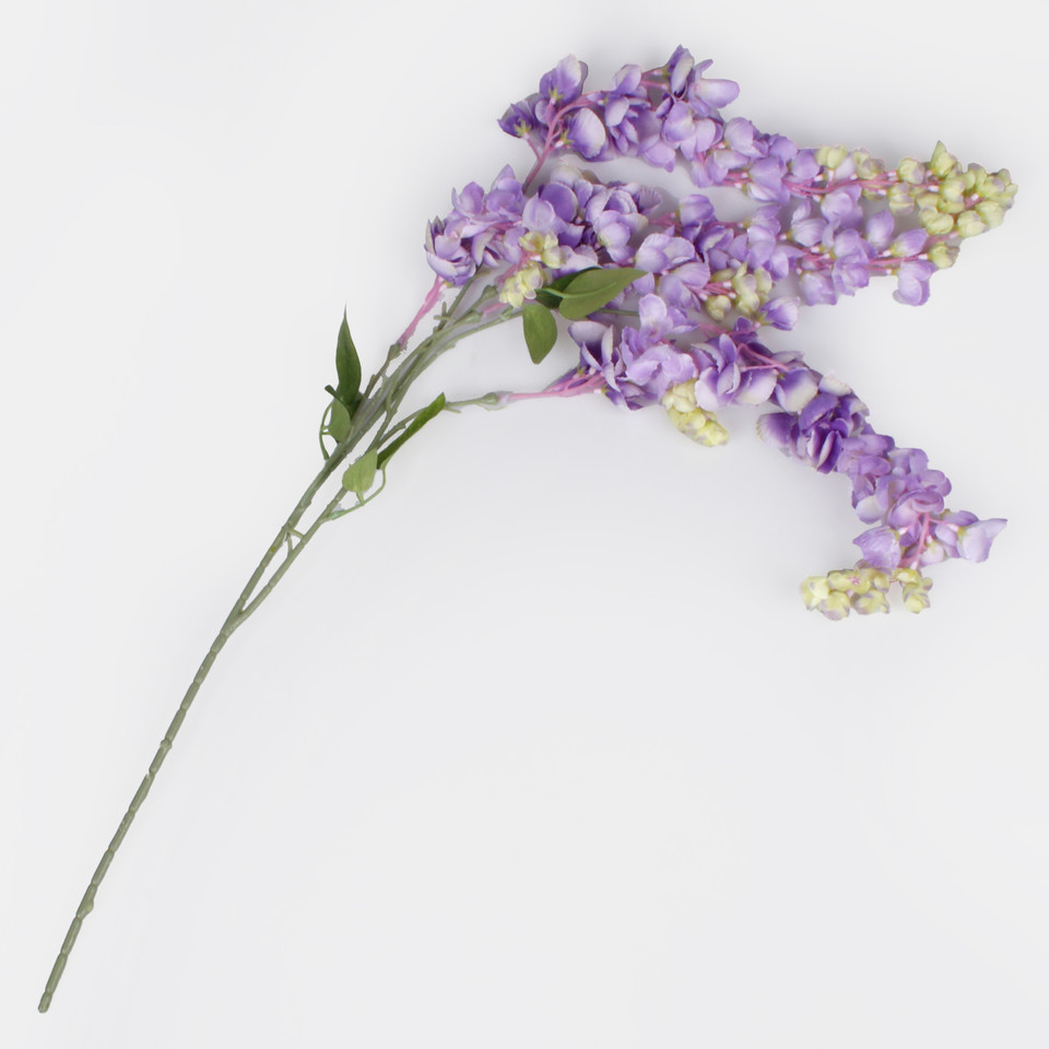 Wisteria, Lilac K121-06