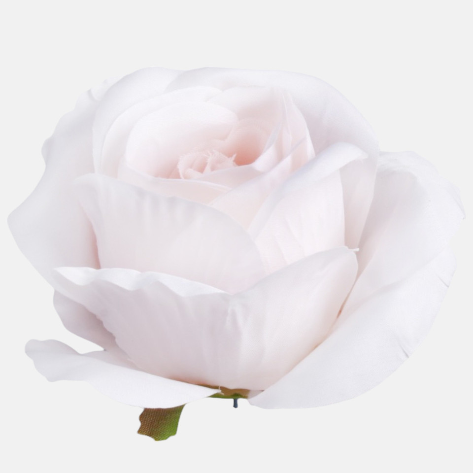 Róża, Lt. Pink W005-23