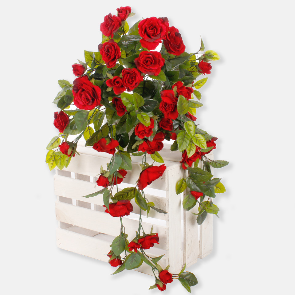 Rose, Red w/Tan Edge K016-09