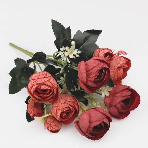 Camellia QA126