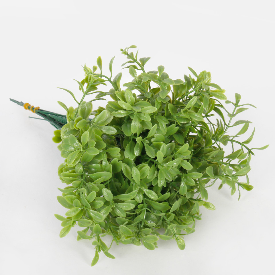 Bilberry, Green A241
