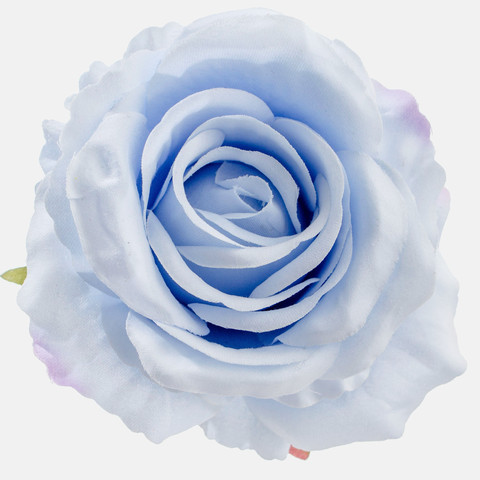 Rose, Lt. Blue W697-20
