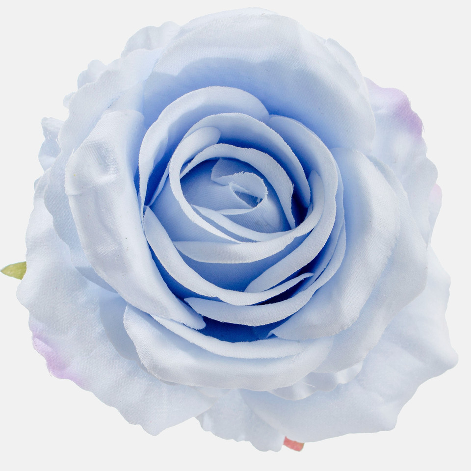 Rose, Lt. Blue W697-20